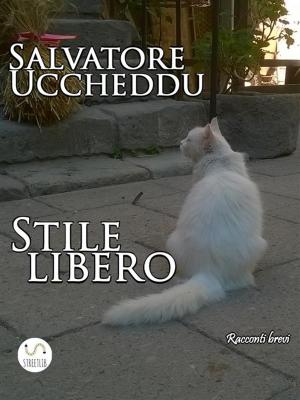 Cover of the book Stile libero by Jim Carver