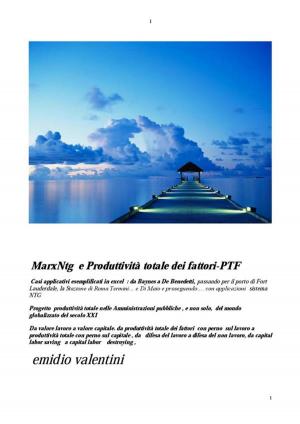 Cover of the book MarxNTG e Produttivita totale dei fattori -PTF by John Peter Pham, Greg Mills
