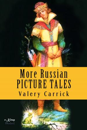 Cover of the book More Russian Picture Tales by Aesop Aesop
