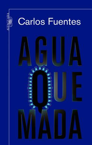 Cover of the book Agua quemada by Rita Vasquez, J. Scott Bronstein