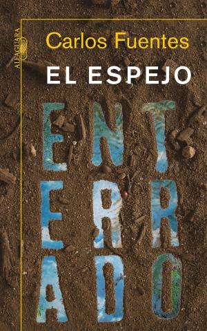 Book cover of El espejo enterrado