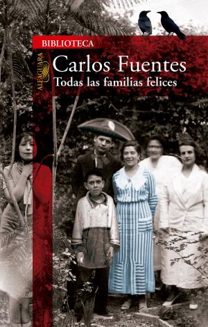 Cover of the book Todas las familias felices by Sam Hodges, Sophie Vickers