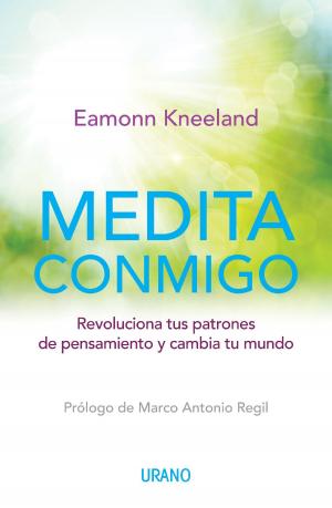 Cover of the book MEDITA CONMIGO by Brené Brown