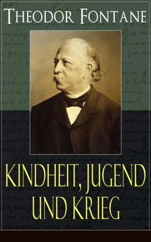 Book cover of Theodor Fontane: Kindheit, Jugend und Krieg
