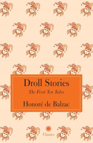 Cover of the book Droll Stories by Ayaz Memon; C. Rajshekar Rao