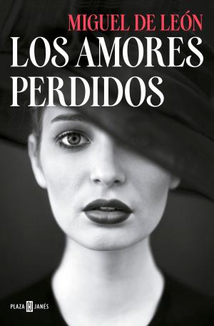 Cover of the book Los amores perdidos by Ana Punset