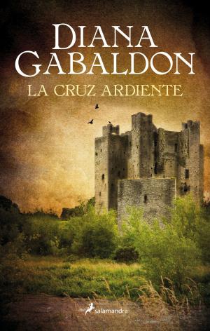 Book cover of La cruz ardiente