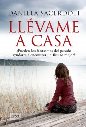 Cover of the book LLÉVAME A CASA by Rita Morrigan