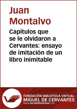 bigCover of the book Capítulos que se le olvidaron a Cervantes: ensayo de imitación de un libro inimitable by 