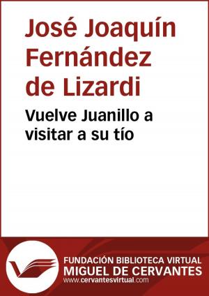 Cover of the book Vuelve Juanillo a visitar a su tío by Juan Adrián Fernández Cornejo