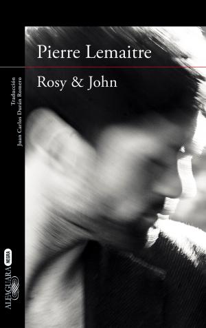 Book cover of Rosy & John (Un caso del comandante Camille Verhoeven 3)