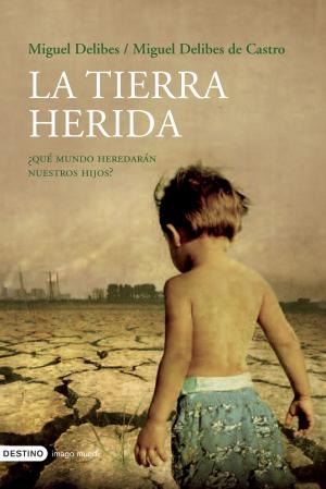 Cover of the book La tierra herida by José Luis Corral