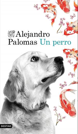 Cover of the book Un perro by Henning Mankell