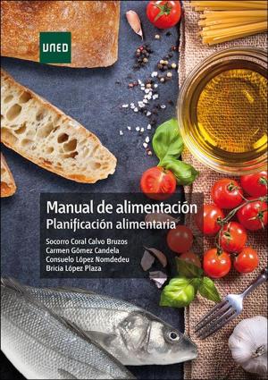 Cover of the book Manual de alimentación. Planificación alimentaria by Socorro Coral Calvo Bruzos, Carmen Gómez Candela, Pilar Riobó Serván, Samara Palma Milla, Pedro J. Robledo Saenz