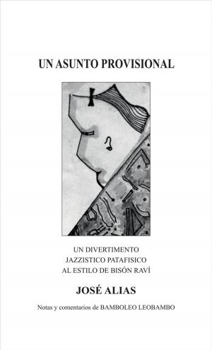 Cover of the book UN ASUNTO PROVISIONAL by Steven Wain