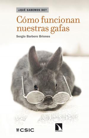 Cover of the book Cómo funcionan nuestras gafas by Iñigo de Barrón