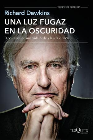 Cover of the book Una luz fugaz en la oscuridad by La Universidad San Martín de Porres