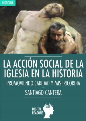 Book cover of La acción social de la Iglesia en la Historia