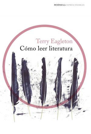 Cover of the book Cómo leer literatura by Alberto Chan Aneiros