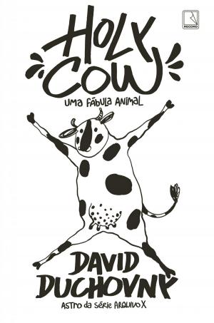 Cover of the book Holy Cow by Marcia Tiburi