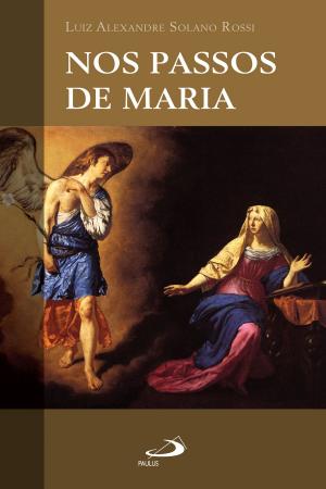 Cover of the book Nos passos de Maria by Jadir Mauro Galvão