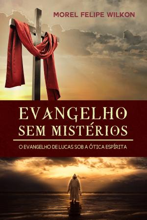 Cover of the book Evangelho sem mistérios by VILMAR SALEMA