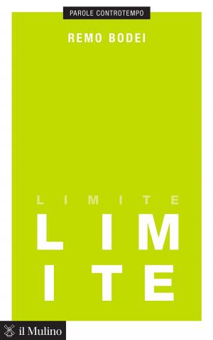 Book cover of Limite