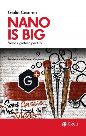 Cover of the book Nano is big by Lorenzo Cuocolo