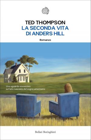 Book cover of La seconda vita di Anders Hill
