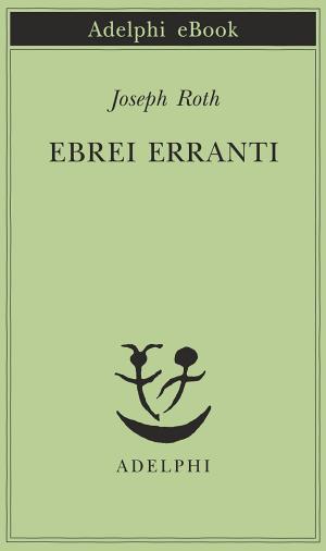 Book cover of Ebrei erranti