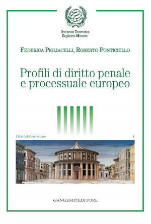 Cover of the book Profili di diritto penale e processuale europeo by Giuseppe Casale