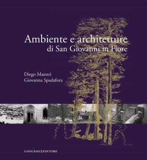 Cover of the book Ambiente e architetture di San Giovanni in Fiore by Edith Bruck, Sergio Zavoli