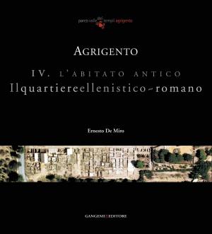 Book cover of Agrigento. L'abitato antico. Il quartiere ellenistico-romano