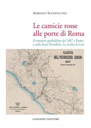 Cover of the book Le camicie rosse alle porte di Roma by Maurizio Nenna
