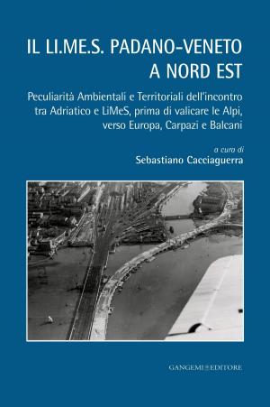 Cover of the book Il LI.ME.S. padano-veneto a nord est by Alessandra Lorini