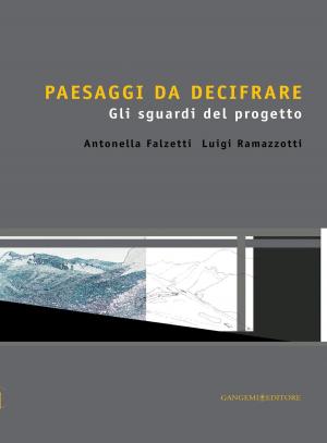 Cover of the book Paesaggi da decifrare by Giuseppe Toscano