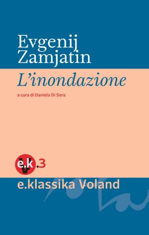 Cover of the book L'inondazione by Amélie Nothomb