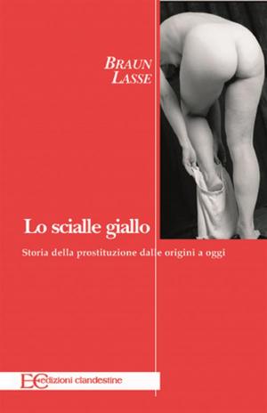 Book cover of Lo scialle giallo