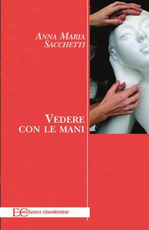 Cover of the book Vedere con le mani by Kasra Naji