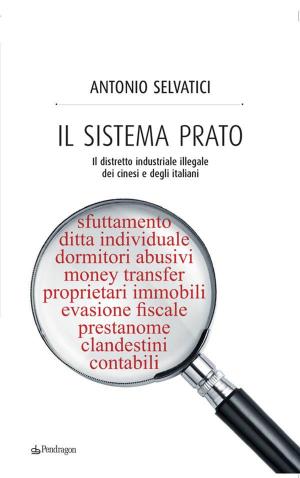 Cover of the book Il sistema Prato by Claudio Bombi