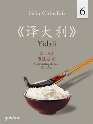 Cover of Yidali 6. Grammatica di base A1-A2 – 《译大利 6》A1-A2 语法基础