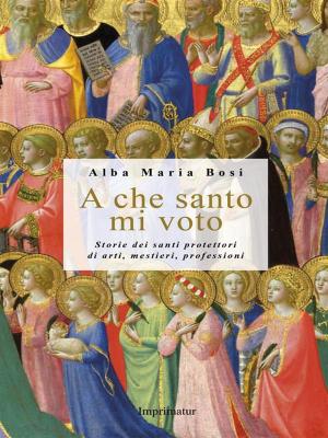 Cover of the book A che santo mi voto by Stefano Fassina