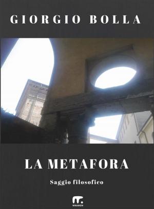 Cover of the book La metafora by Associazione Clio '92, Paola Lotti, Maria Elena Monari