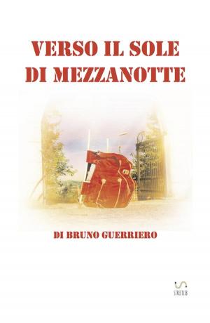 Cover of the book Verso il sole di mezzanotte by Pip Ballantine, Tee Morris