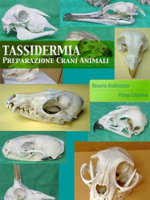 Cover of the book Tassidermia: Preparazione Crani di animali by Rosario Andronaco
