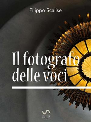 Cover of the book Il fotografo delle voci by James Murphy
