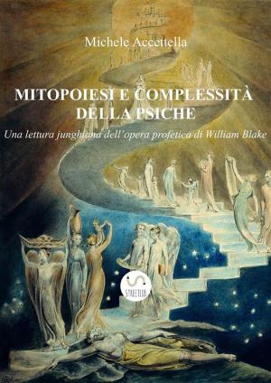 Cover of the book Mitopoiesi e complessità della psiche by Donald Meltzer
