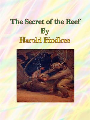 Cover of the book The Secret of the Reef by Carl Sternheim