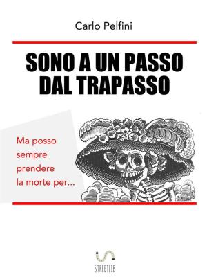 bigCover of the book Sono a un PASSO dal Trapasso by 
