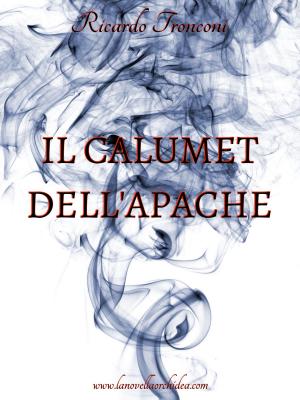 Cover of the book Il calumet dell'apache by Jennie Kew